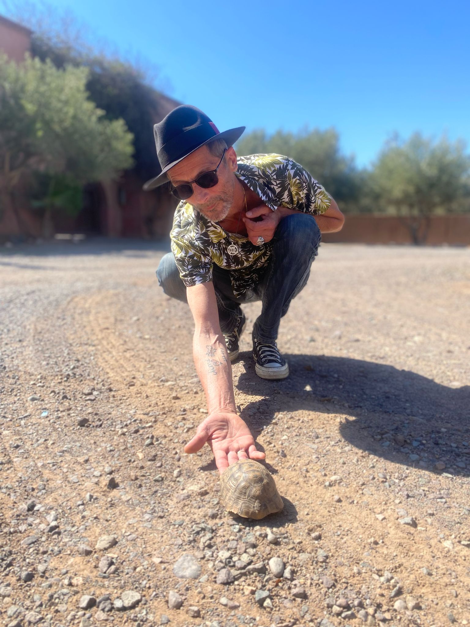 whatsapp image 2025 06 23 at 12.25.13